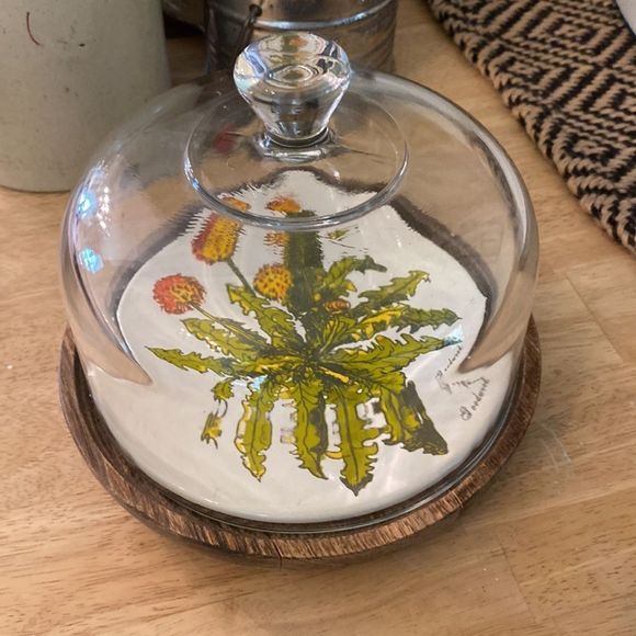 Vintage Goodwood Teak Cheese Tray with Glass Cover Dandelion Plate Design - Picture 5 of 5
